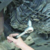 FORCE FC-34810016T Dopsleutel voor versnellingsbakken VAG M16-16007