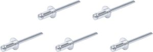 BGS-75849 Blindklinknagels Assortiment | Ø 4,8 mm | 50 stuks