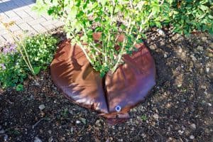 BGS 53755 Waterzak voor bomen | 55 liter
