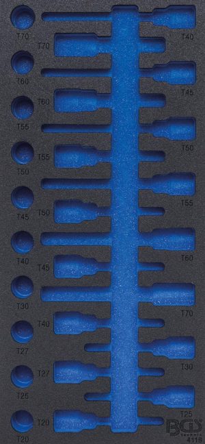 BGS 4119-1 Gereedschap module 1/3 | Leeg | Voor BGS 4119