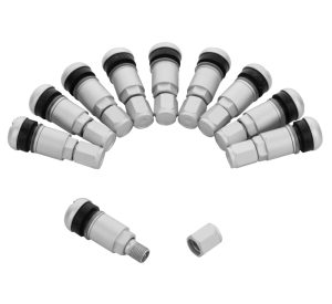 Schroefventiel | TR525 | Aluminium mat | 10 stuks