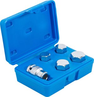 BGS 5060 Bitset | voor motorbanden | binnenzeskant 17 - 24 mm