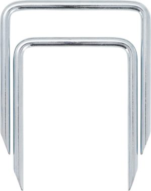BGS 6731 Inlaatspruitstuk / Ontgrendelingsgereedschap inlaatspruitstuk | voor VAG | 2 stuks